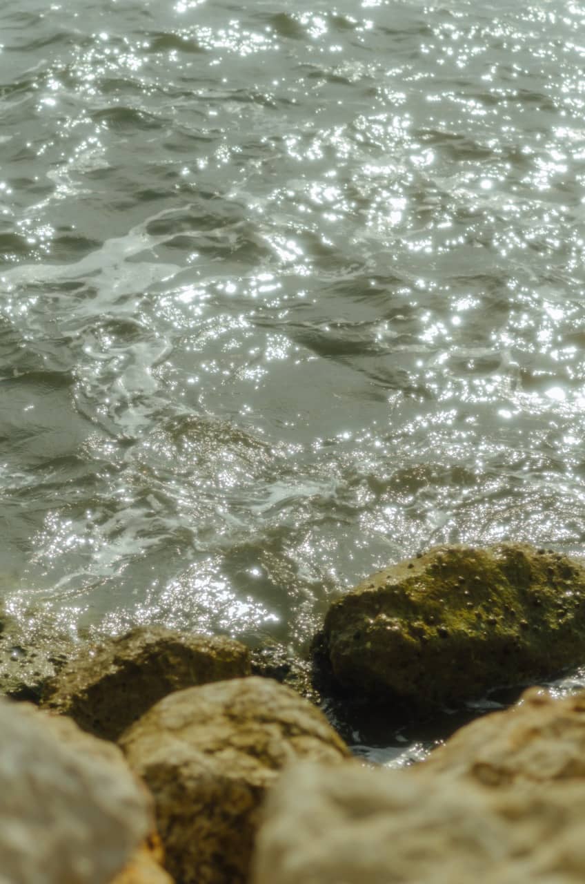 Превью Erdemli 2023